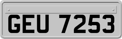 GEU7253