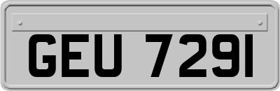 GEU7291