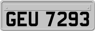 GEU7293