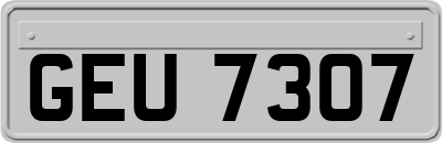 GEU7307