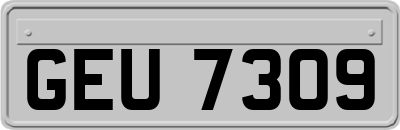 GEU7309