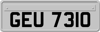 GEU7310