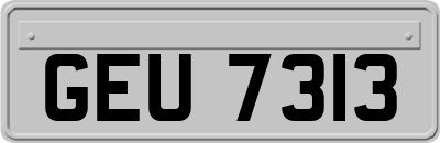 GEU7313