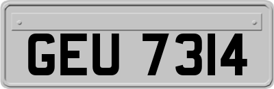 GEU7314