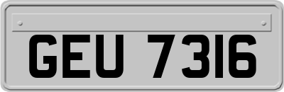 GEU7316