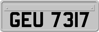 GEU7317
