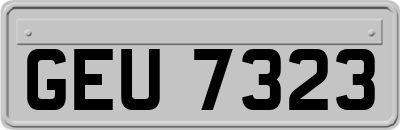 GEU7323