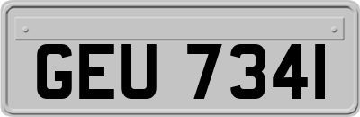 GEU7341