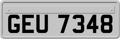 GEU7348