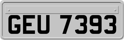 GEU7393