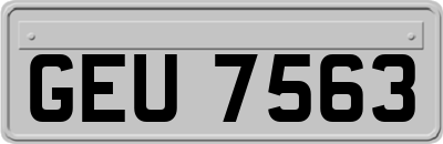 GEU7563
