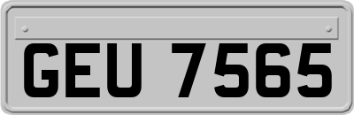GEU7565