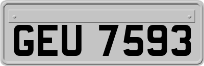 GEU7593
