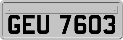 GEU7603