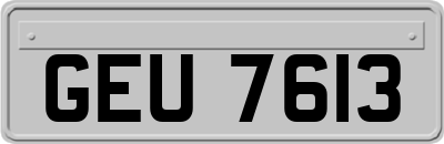 GEU7613