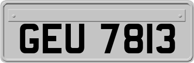 GEU7813