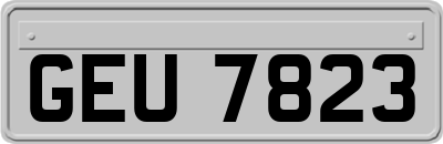 GEU7823