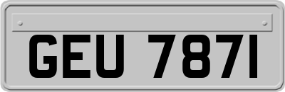 GEU7871