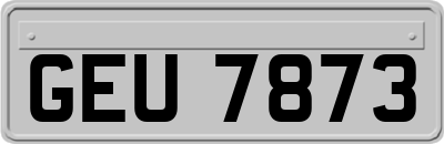 GEU7873