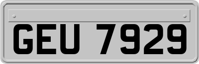 GEU7929