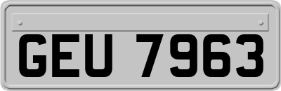 GEU7963