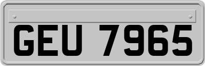 GEU7965