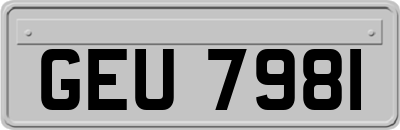 GEU7981