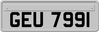 GEU7991