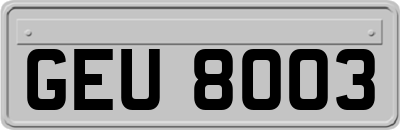GEU8003