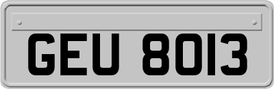 GEU8013