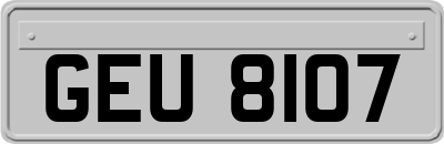 GEU8107