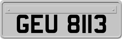 GEU8113