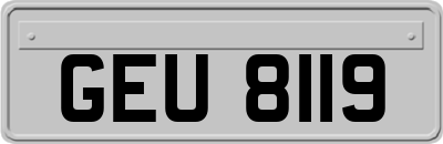 GEU8119