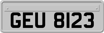 GEU8123