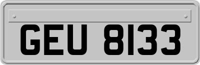 GEU8133