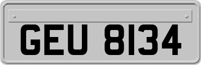 GEU8134