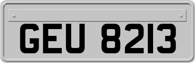 GEU8213