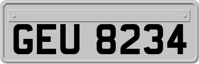 GEU8234