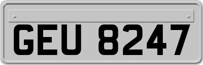 GEU8247