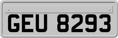 GEU8293