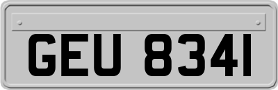 GEU8341