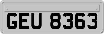 GEU8363