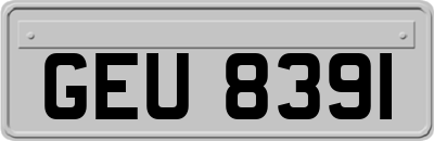 GEU8391