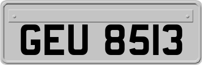 GEU8513