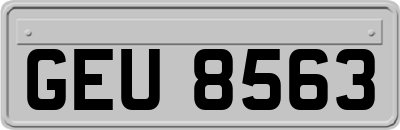 GEU8563