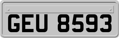 GEU8593
