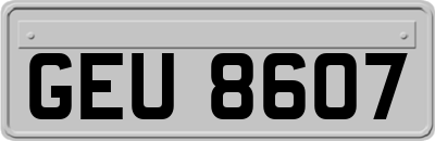 GEU8607
