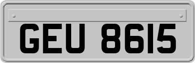GEU8615