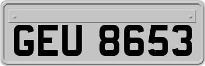 GEU8653