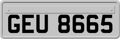 GEU8665